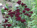 e0088260_15415689.jpg