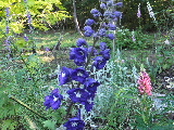 e0088260_15455363.jpg