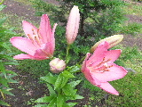 e0088260_1546559.jpg