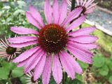 e0088260_15494860.jpg