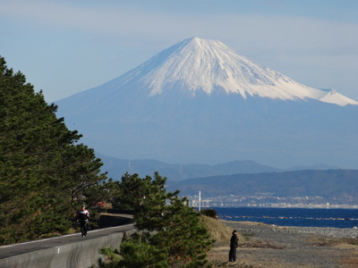 a0168865_1145982.jpg