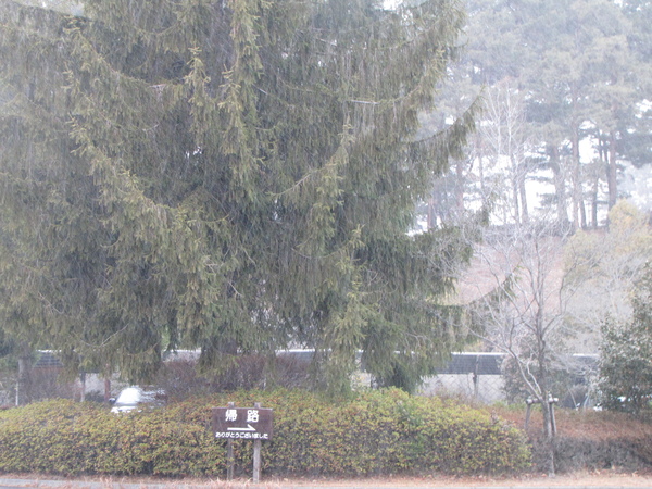 f0096067_15406100.jpg