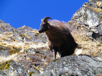 f0182173_13545314.jpg
