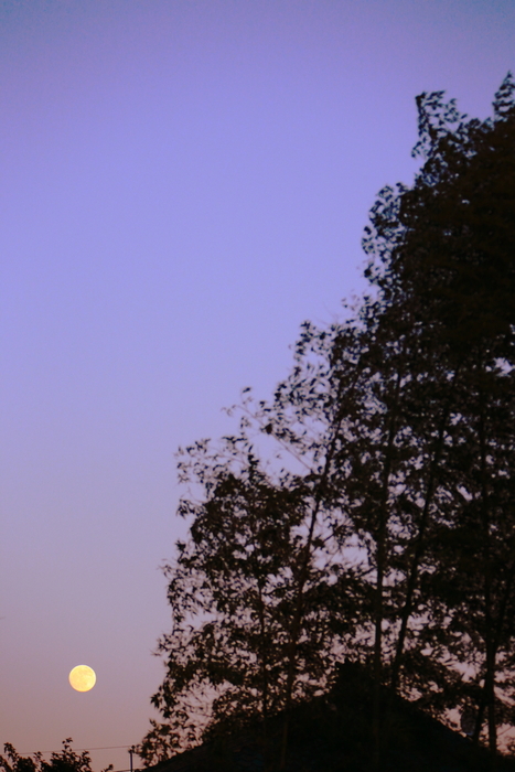 c0268775_8232562.jpg