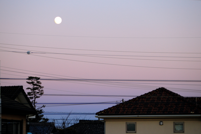 c0268775_8234539.jpg