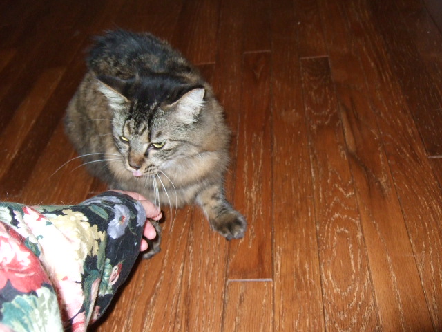 d0000778_0232516.jpg