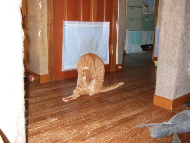 d0000778_0394815.jpg