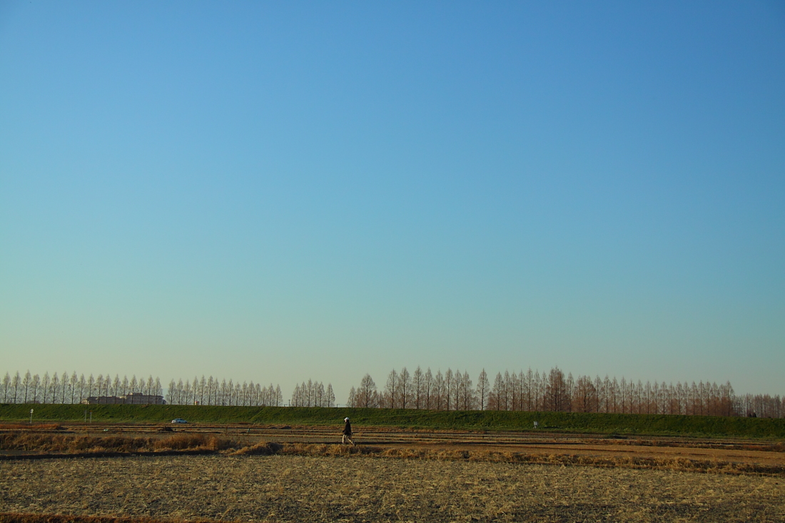 e0249878_23371730.jpg