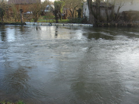 a0247585_561882.jpg