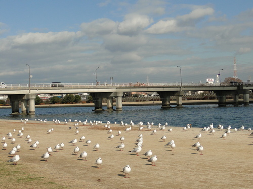 a0251786_13264389.jpg