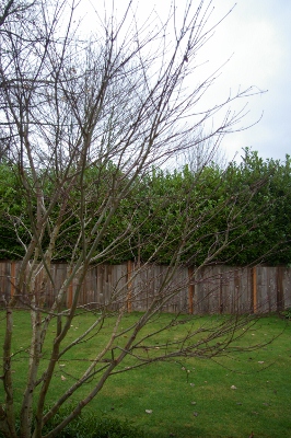 b0283192_9104614.jpg