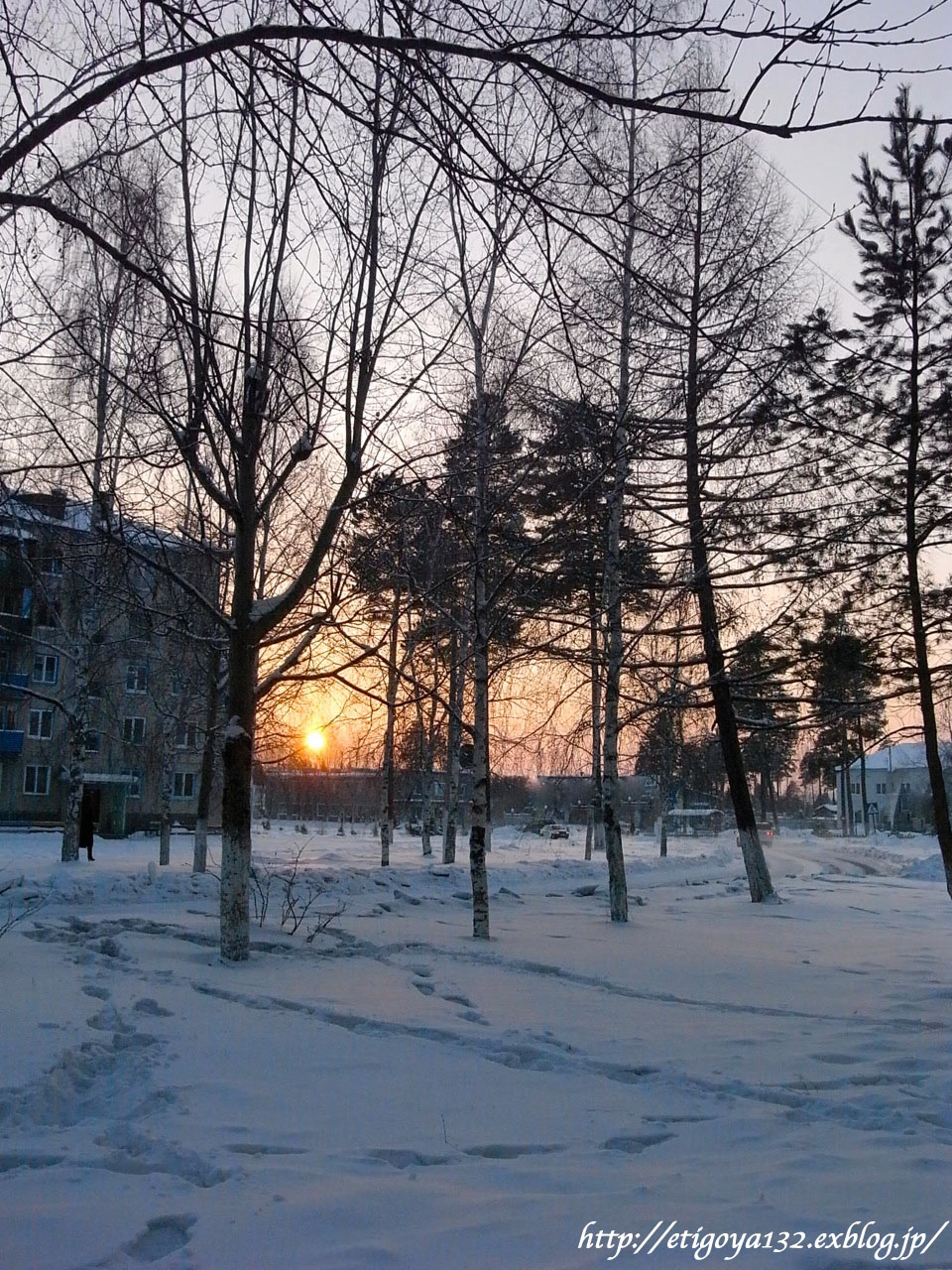 e0250594_7314039.jpg