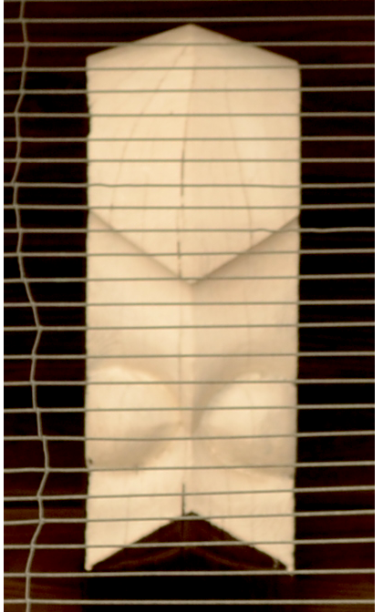 a0207396_21442847.png