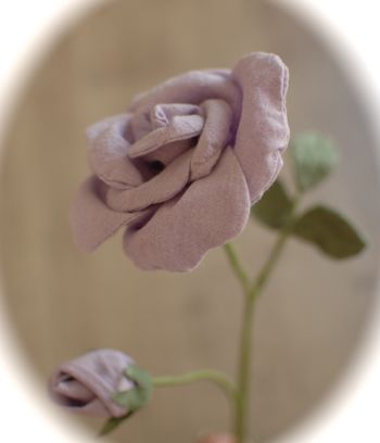 a0011999_23114448.jpg