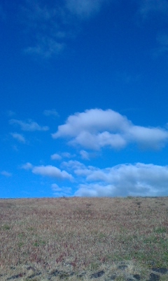 d0165420_12595959.jpg