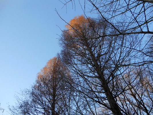e0071225_232968.jpg