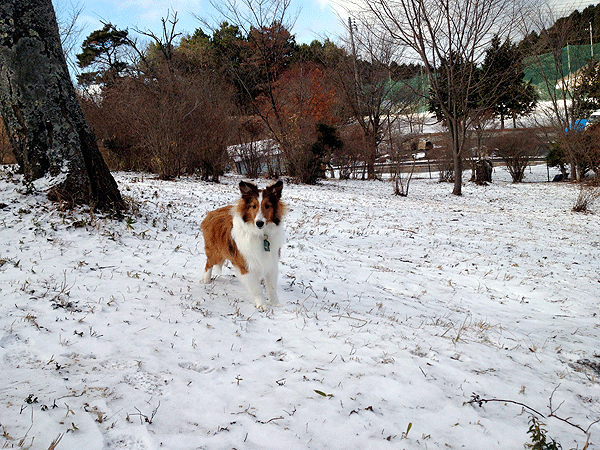 b0066826_032147.gif