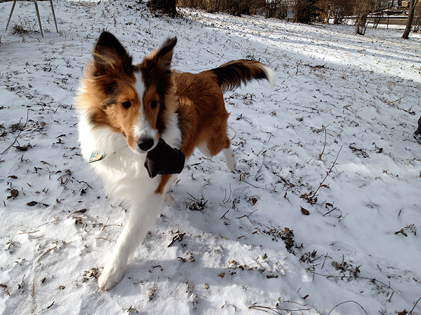 b0066826_042640.gif