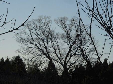 c0146127_22431389.gif