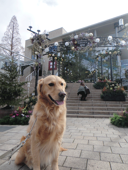 c0197829_23285819.gif