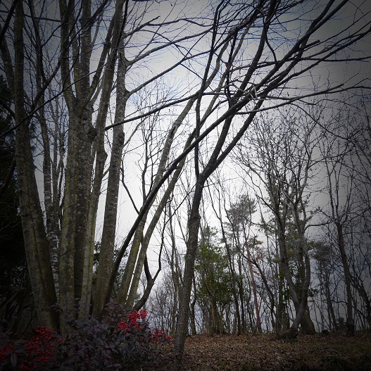 f0231829_1224016.jpg
