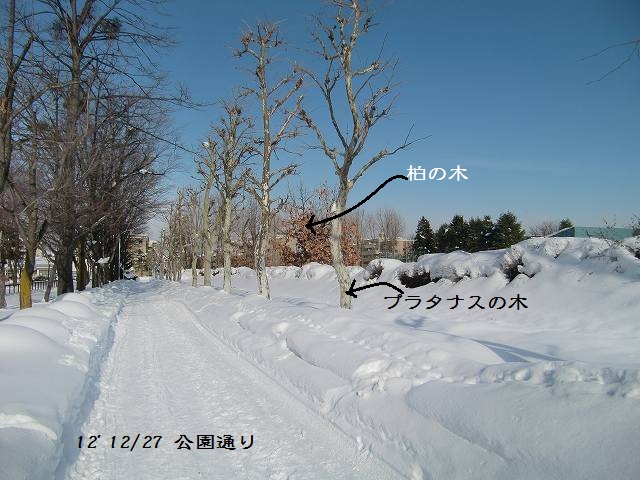 c0123031_1663190.jpg