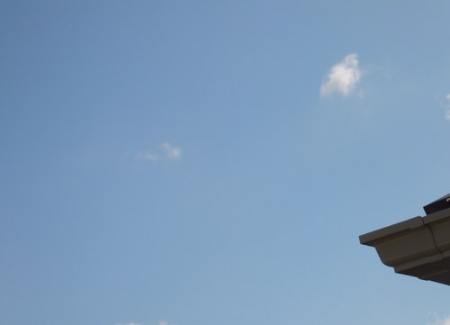 b0137932_1129139.jpg