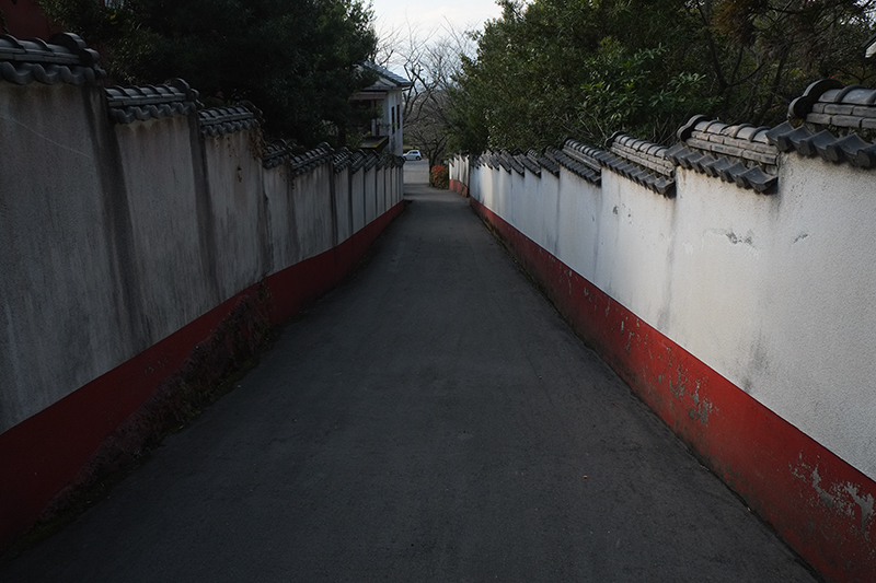 d0004832_21321643.jpg