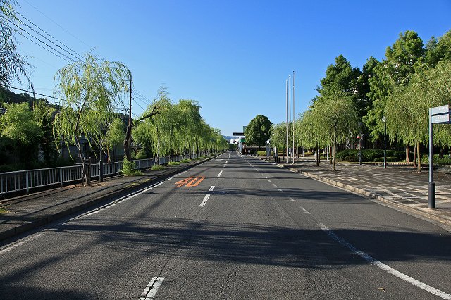 a0242438_1732036.jpg