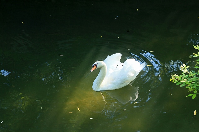 a0242438_17335611.jpg
