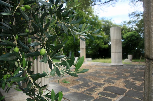 a0242438_18323559.jpg
