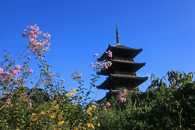 a0242438_18324514.jpg