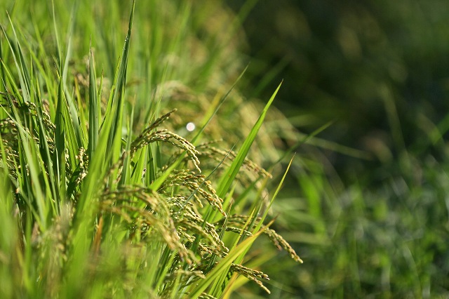 a0242438_1833040.jpg