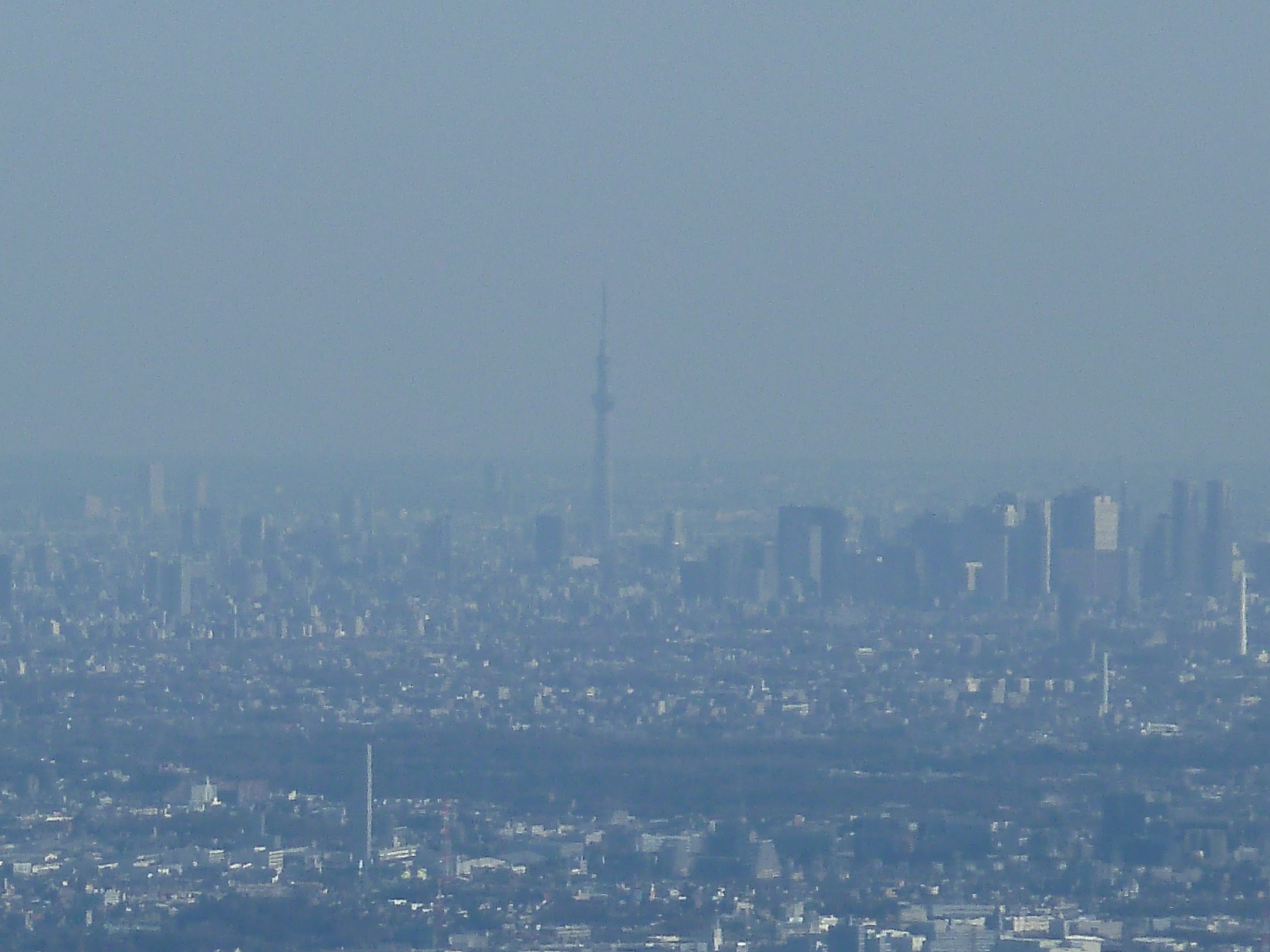 d0288144_20575760.jpg
