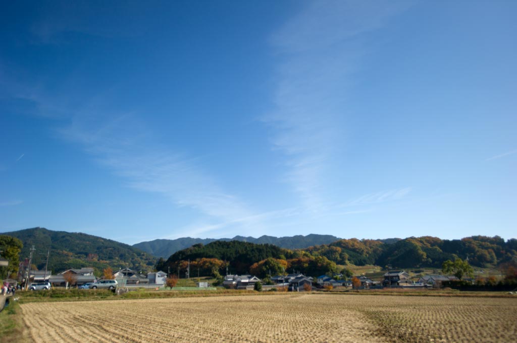 b0023047_3311789.jpg
