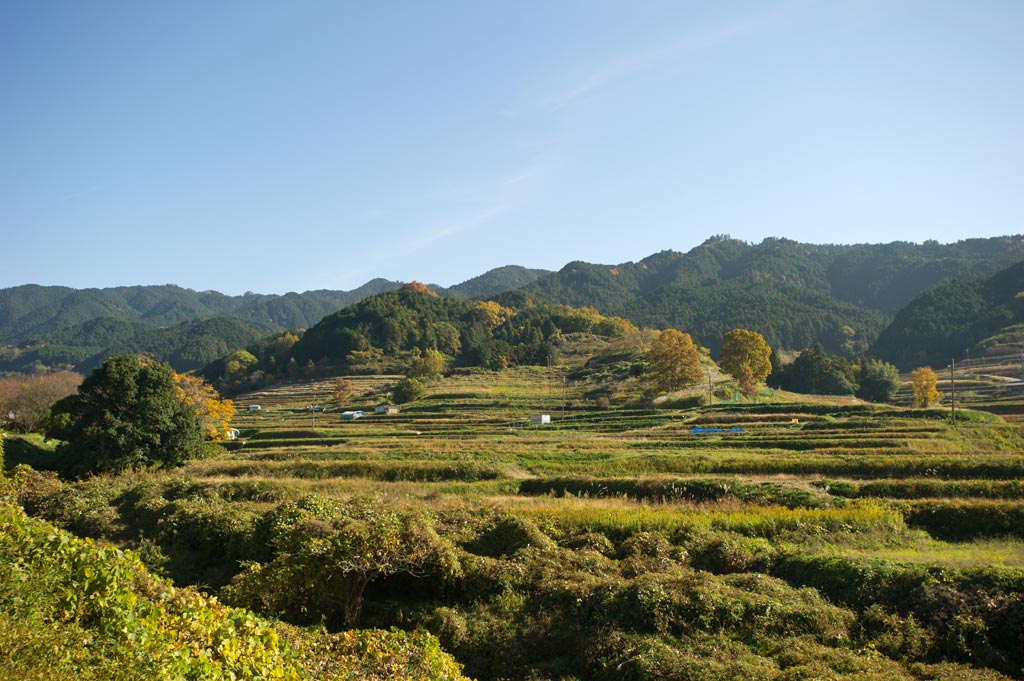 b0023047_3313528.jpg