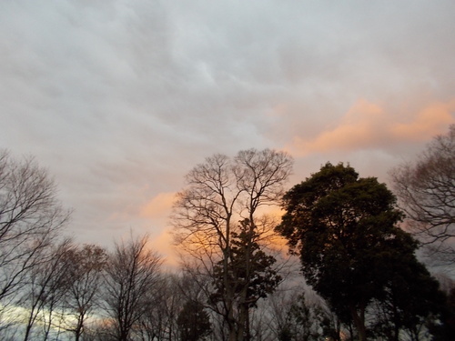 e0121548_20171523.jpg