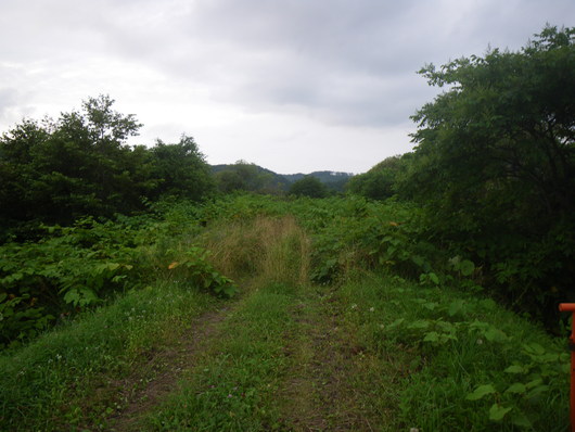 f0046250_4103548.jpg