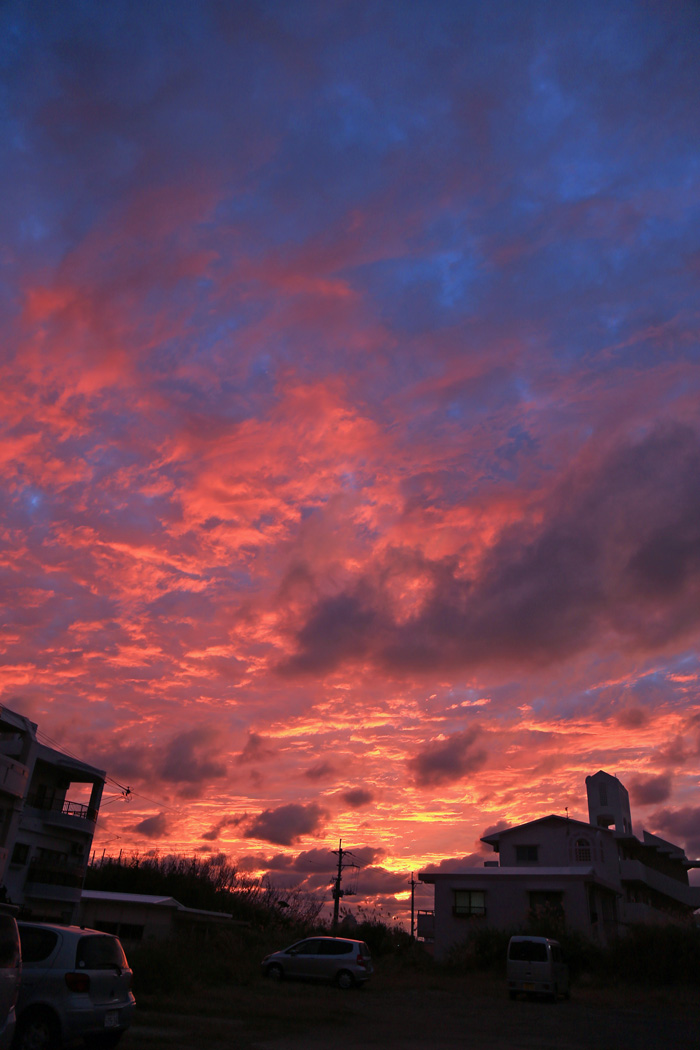 b0049152_1359463.jpg