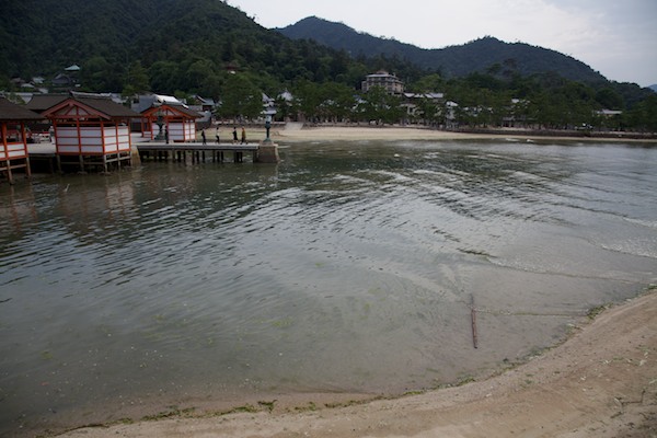 e0122855_17255265.jpg