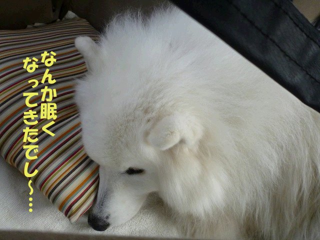 e0176159_21351051.jpg