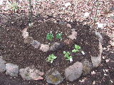 e0088260_21173063.jpg