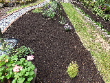 e0088260_21174551.jpg