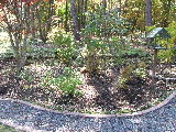 e0088260_21213558.jpg