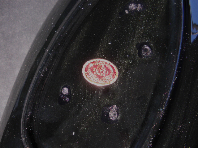 c0068267_12365330.jpg