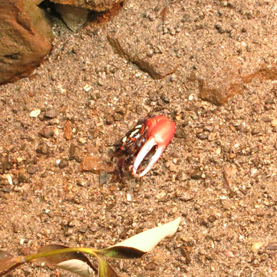 c0117570_15231551.jpg