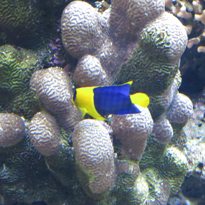 c0117570_1527943.jpg