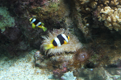 c0117570_1537276.jpg