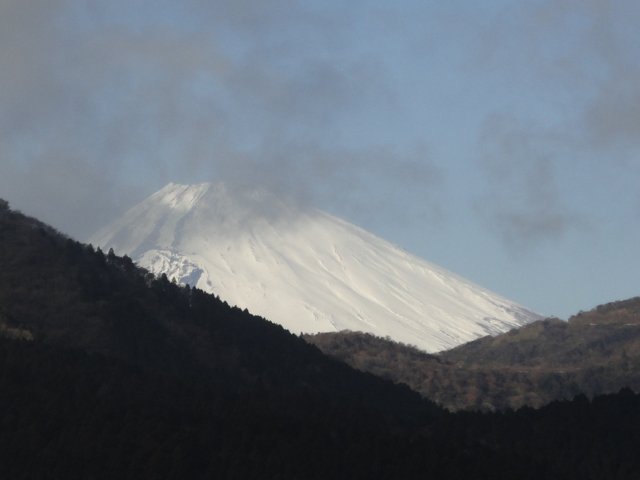 d0109373_19255269.jpg