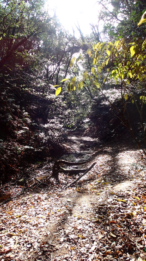 e0024081_14471469.jpg